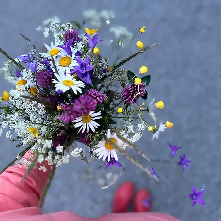 Zrub Pod Vrskom Osturna